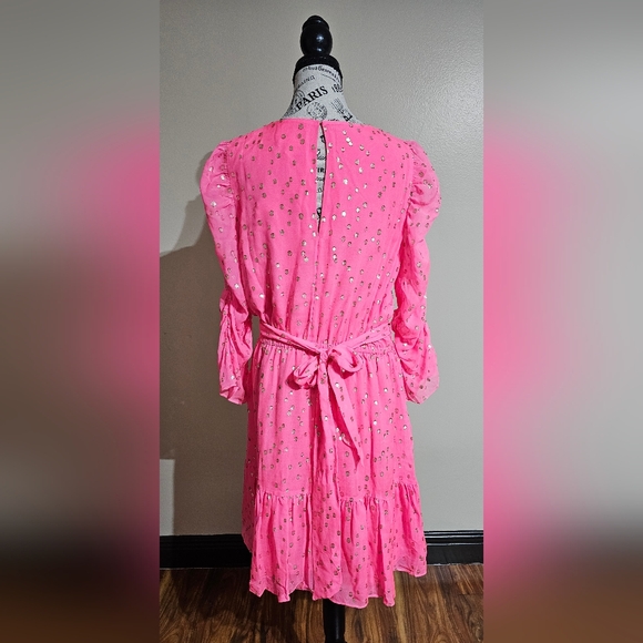 Lilly Pulitzer Chianna Silk Dress Size 14 Pink - Picture 2 of 7